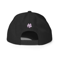 SY Brand Snapback Hat